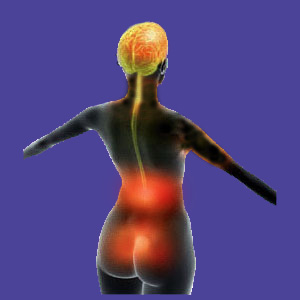 Lower Back Pain During Menstruation